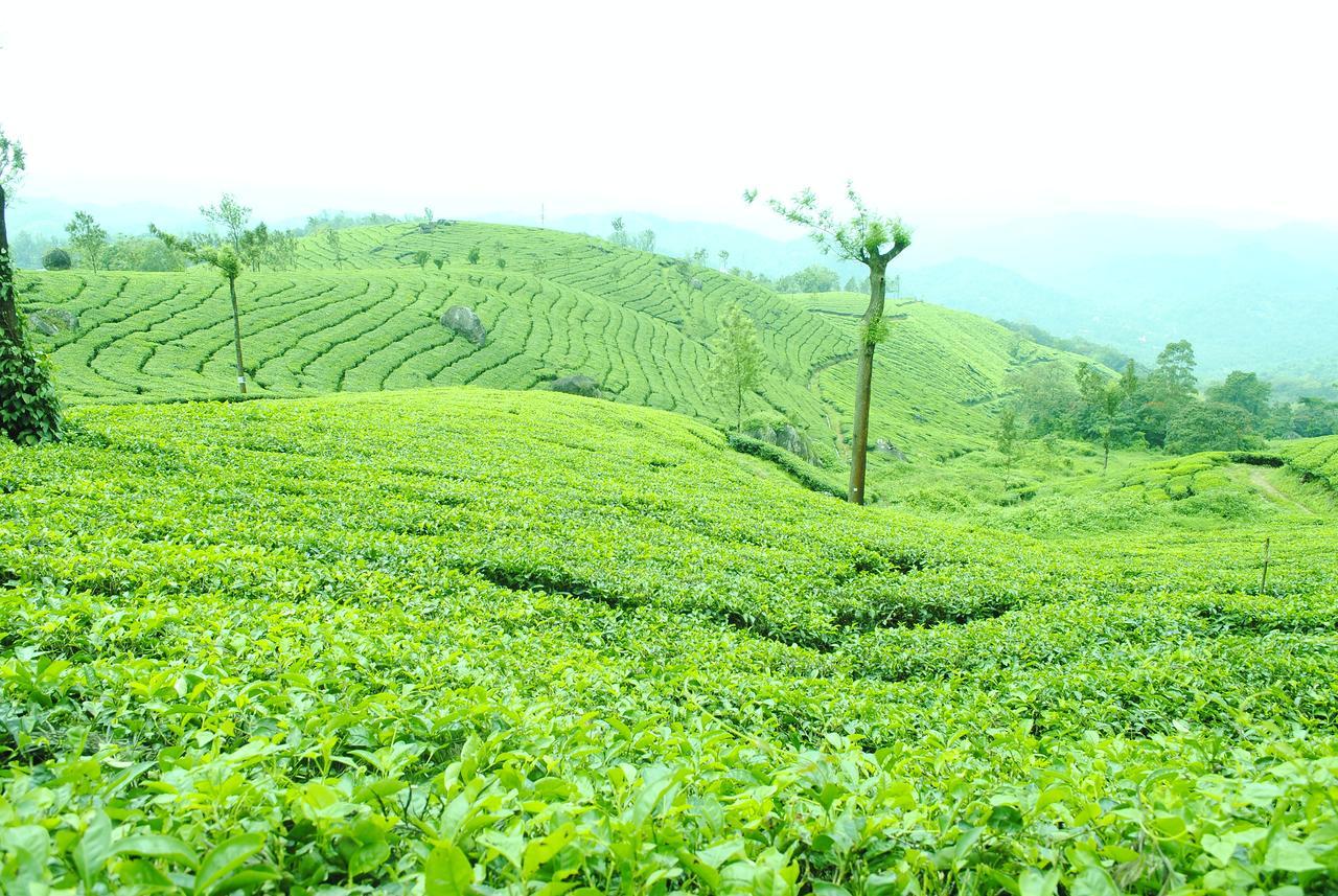 Tranquil Valley Resort Munnar Bagian luar foto